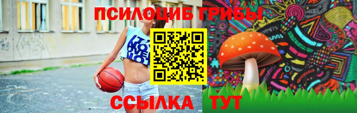 купить  сайты  Псилоцибиновые грибы Psilocybe  Вход с VPN  Борзя 