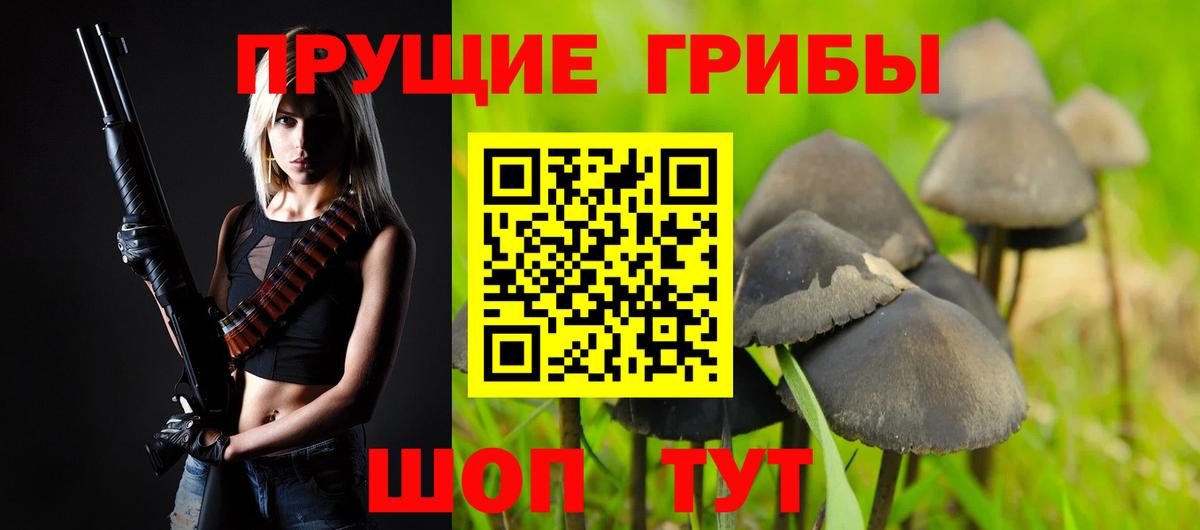 Галлюциногенные грибы мицелий Борзя